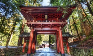 Storehouse Company Japan 1