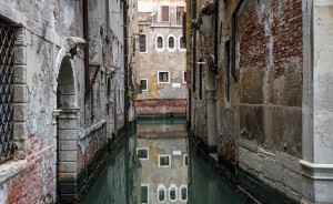Storehouse Company Venice